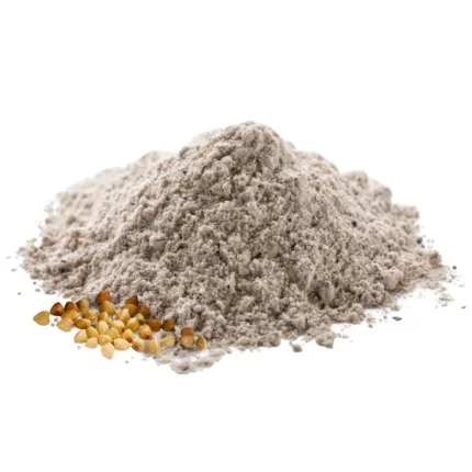 Harina de Trigo Sarraceno a granel bio